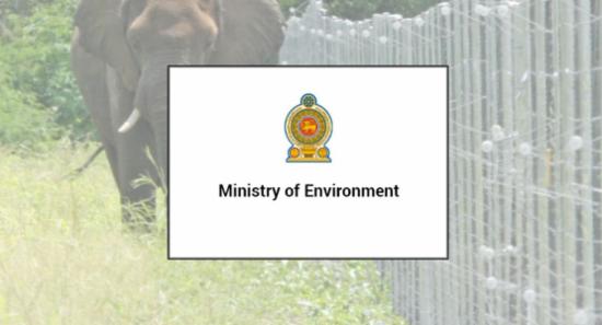 1,500 Recruitments To Protect Elephant Fences